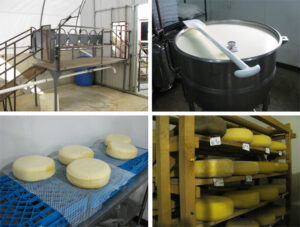 kokoborrego cheese ohio artisan cheeses