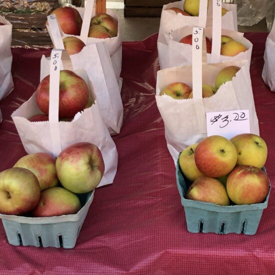 ohio apples