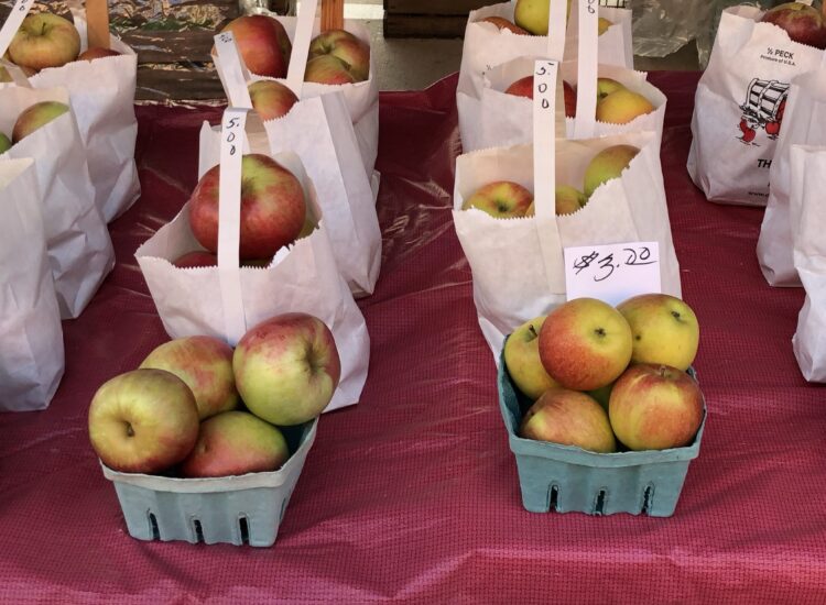 ohio apples